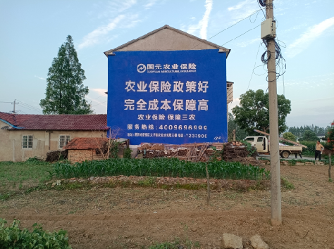 长宁县墙体广告为何受追捧？