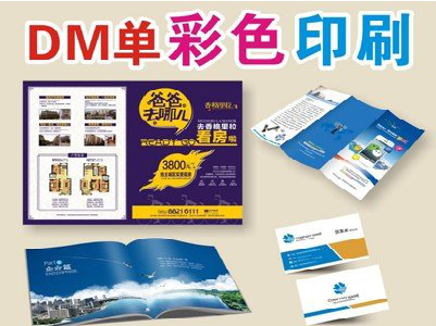 长宁县单页印刷，色彩搭配简单。